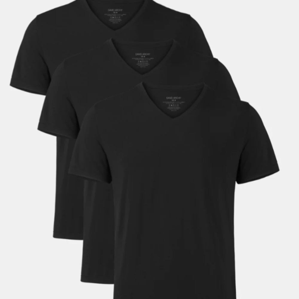 DAVID ARCHY | micromodal stretch v-neck short sleeve tee t-shirt 3pk